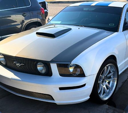 The same Mustang after detailing, with glossy white paint and a deep black hood stripe.